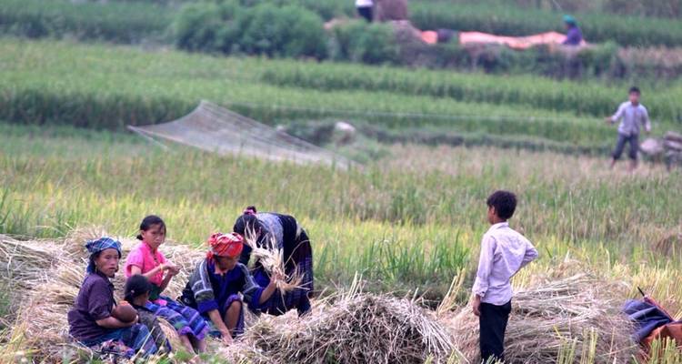 Sept jours pour découvrir le vrai charme du nord du Vietnam - Vietnam Real Tour 6