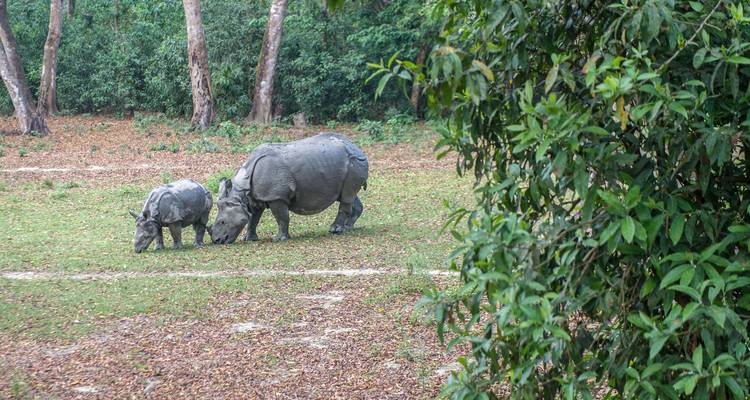Viajes Explora Nepal 11 días - Nepal Social Treks 3