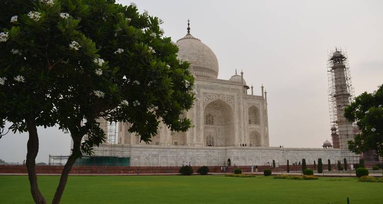 Zicht op de Taj Mahal met tuinen en steigerwerk.
