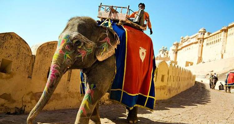 Golden Triangle Tour - India Trip Designer  7