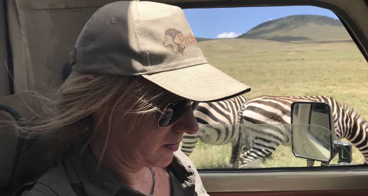 Persoon in een safarivoertuig met zebra's voor het raam.