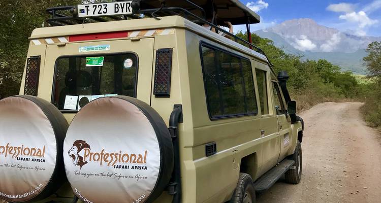 6 días - Parque Nacional de Tarangire, Serengeti y cráter del Ngorongoro - Professional Safari Africa 8
