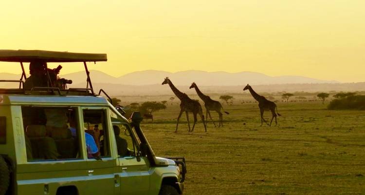 6 días - Parque Nacional de Tarangire, Serengeti y cráter del Ngorongoro - Professional Safari Africa 3