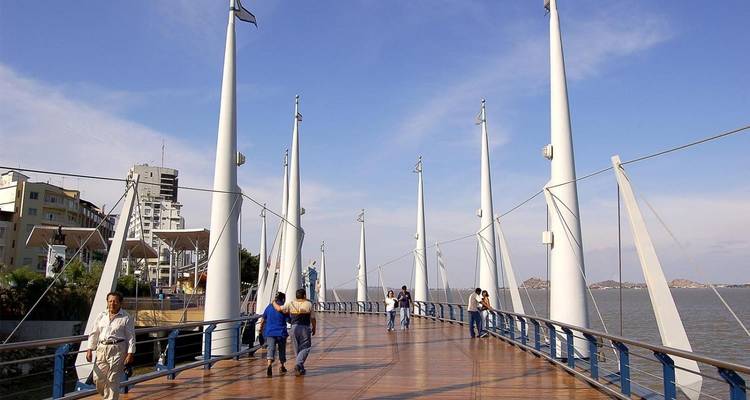 Basic Ecuador - 4**** Hotel - 8 Days - Gray Line Ecuador 3