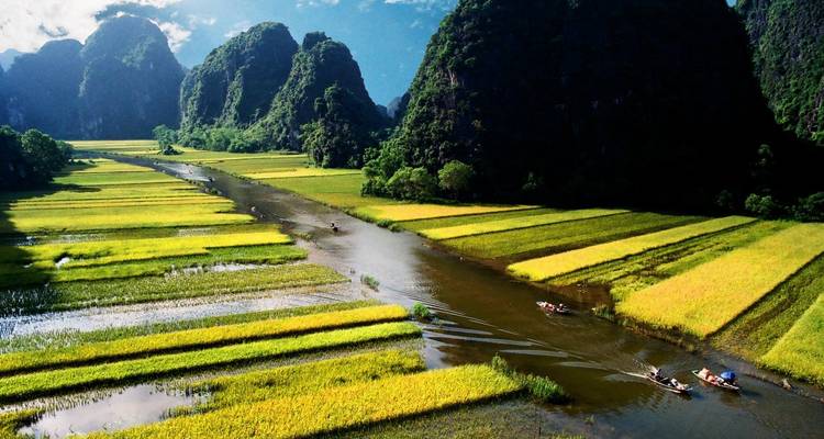 Vista aérea de un río que fluye a través de vibrantes campos de arroz con personas remando en botes.