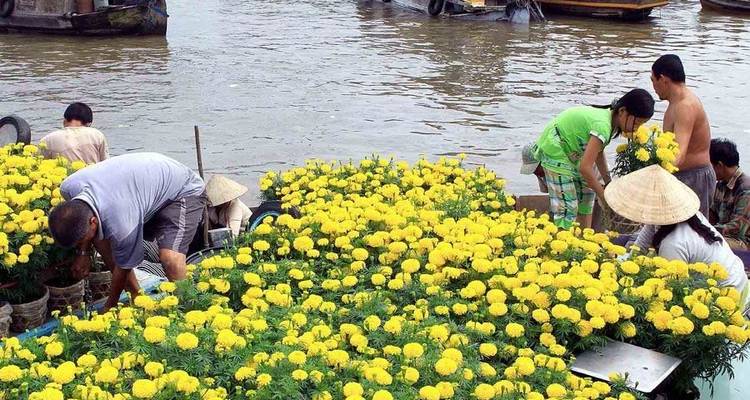 Twelve Day Highlight Vietnam from North Down To South - Vietnam Real Tour 7