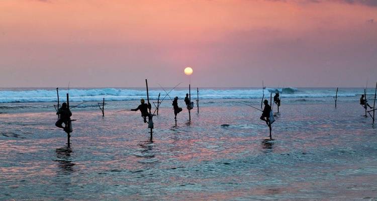 Tour de thé exclusif, Tour privé - Aitken Spence Travel 2