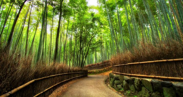 Jardins et galeries du Japon - Oomi Travel 7