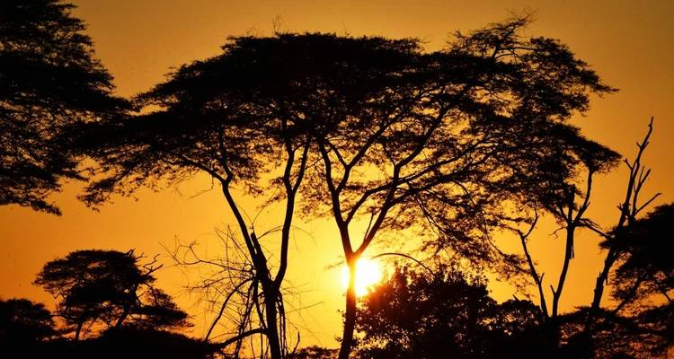 7 days Group Adventure Holiday - Primate World Safaris (U) Ltd 1