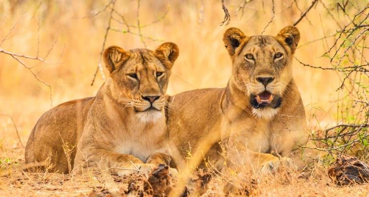 7 days Group Adventure Holiday - Primate World Safaris (U) Ltd 6