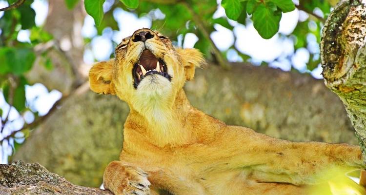 7 days Group Adventure Holiday - Primate World Safaris (U) Ltd 9