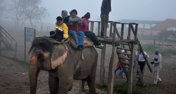 Chitwan Package Tour- 2 Nights 3 Days - Himalayan Adventure Treks & Tours 9