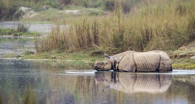 Chitwan Package Tour- 2 Nights 3 Days - Himalayan Adventure Treks & Tours 4