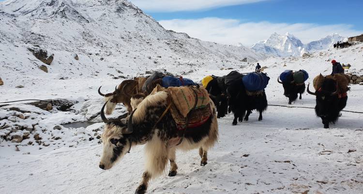 Best Everest Base Camp Trek -13 Days - Scenic Nepal Treks & Expedition Pvt. Ltd 2