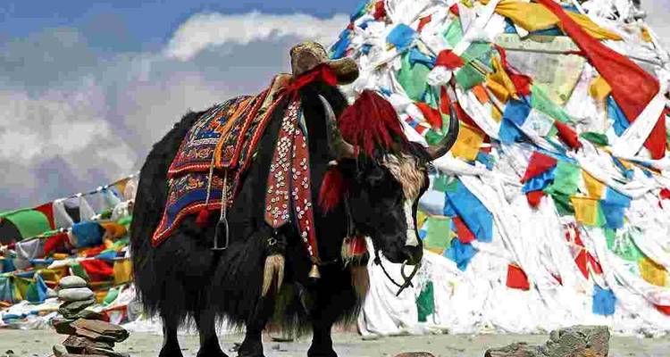 Bhutan Package Tour 6 Days - Himalayan Adventure Treks & Tours 2