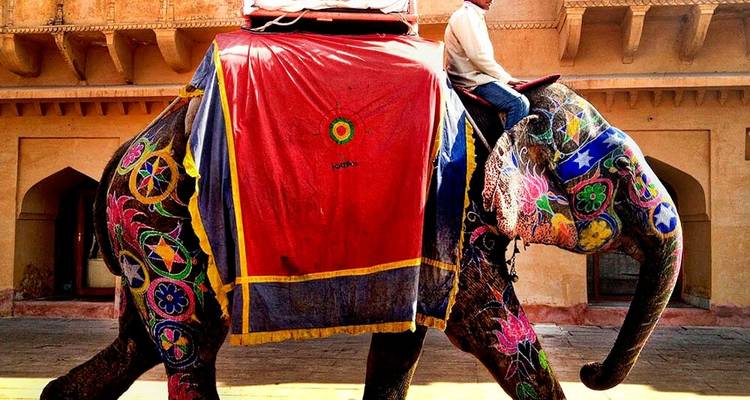 Pour l'amour du Taj et du tigre - Triangle d'or de l'Inde et Ranthambore avec 3 safaris tigre - MTA Destination Management Company 9
