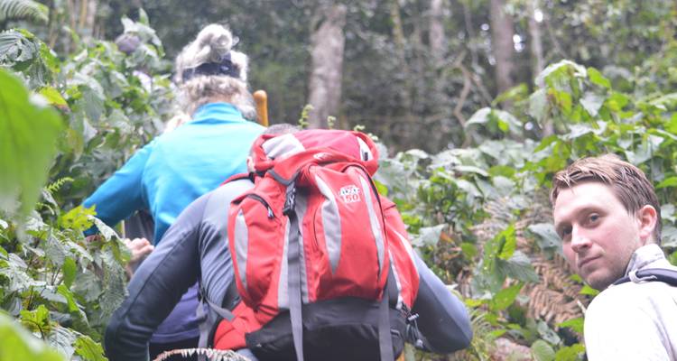 3 days Gorilla tracking Bwindi Impenetrable Forest National Park - Simba Africa Expeditions 4