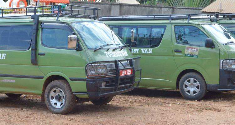 3 days Gorilla tracking Bwindi Impenetrable Forest National Park - Simba Africa Expeditions 7