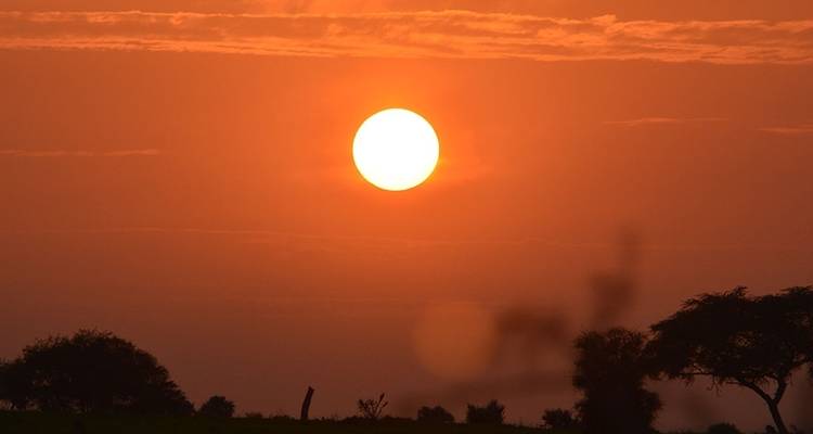 3 days Queen Elizabeth National Park - Simba Africa Expeditions 10