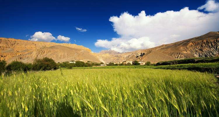 Upper Mustang Trek - Peregrine Treks and Expedition Pvt Ltd 4
