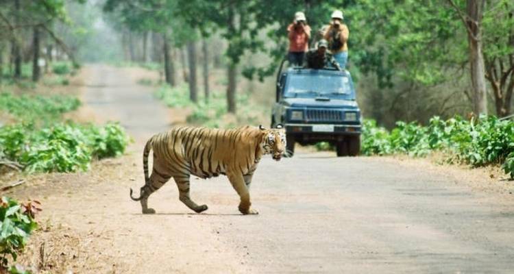 Katmandou, Pokhara, Chitwan - 8 jours - Himalayan Adventure Treks & Tours 4