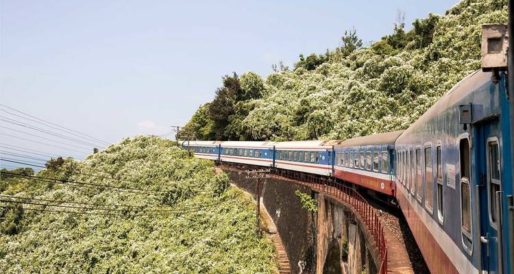 Trein op een schilderachtig spoor dat door weelderig groen rijdt.