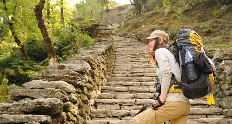 Wandelaar beklimt stenen treden in een groen bebost gebied.