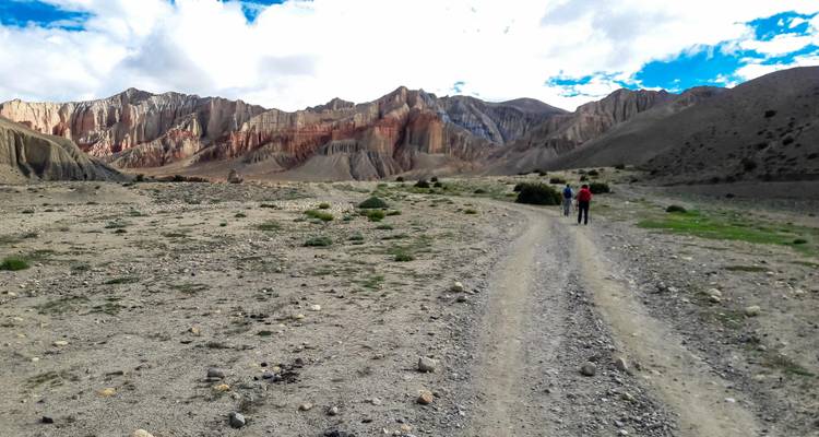 Open landschap met schaarse vegetatie en kleurrijke kliffen in de verte.