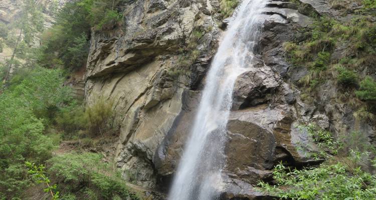 Een waterval die naar beneden stort in een weelderig gebied.