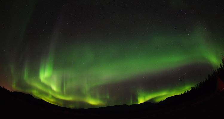 Observation des aurores au meilleur rapport qualité- prix | Faune et sources chaudes - Arctic Range Adventure 4