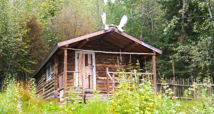 Une petite cabane rustique entourée d'une végétation luxuriante dans un cadre forestier.