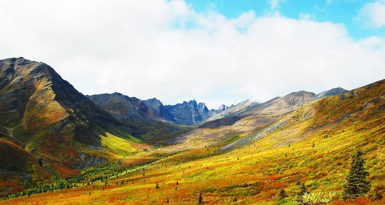 Tundra Ártica y Dawson City - naturalmente salvaje - Arctic Range Adventure 8