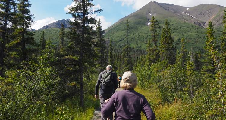 Hikers walking on a forest path with mountains in the background.