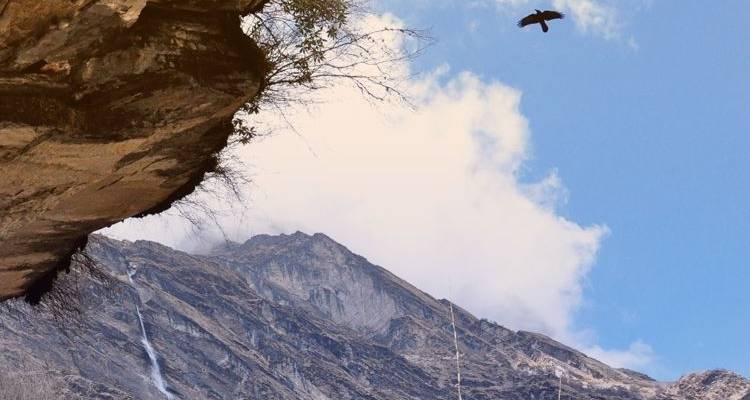 Trekking al Campo Base del Dhaulagiri -17 Días - Himalayan Adventure Treks & Tours 10