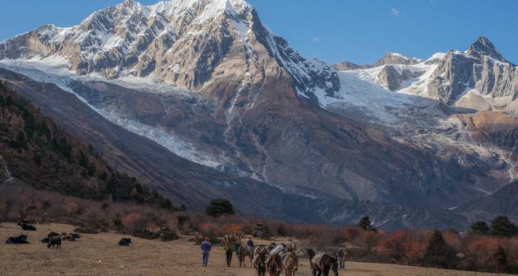 Manaslu Tsum Valley Trek -24 Days - Himalayan Adventure Treks & Tours 9