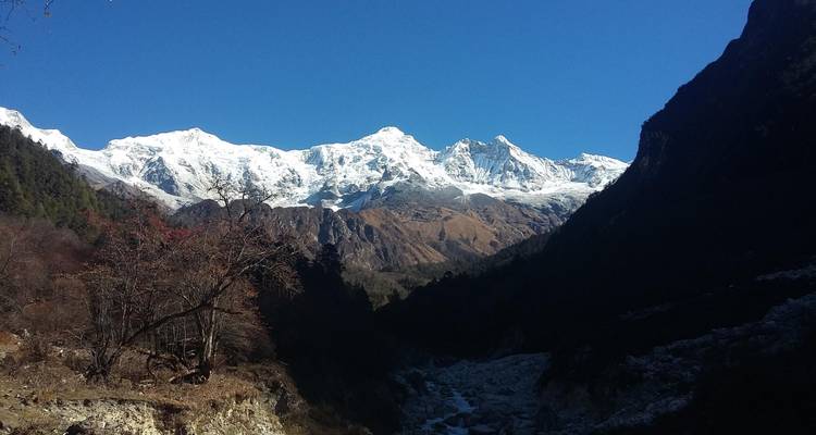 Snow-capped mountains in a clear blue sky from a valley perspective.