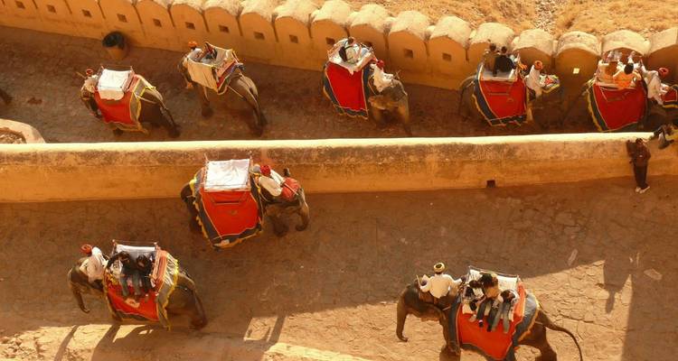 Excursión Privada de 3 Días por el Triángulo de Oro: Delhi, Agra y Jaipur - Amanecer del Taj Mahal y Palacios Reales - Creative India Journey 2