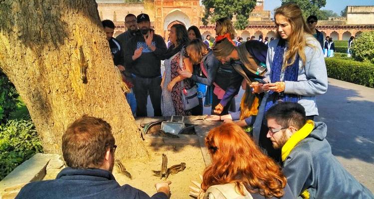 Excursión Privada de 3 Días por el Triángulo de Oro: Delhi, Agra y Jaipur - Amanecer del Taj Mahal y Palacios Reales - Creative India Journey 7