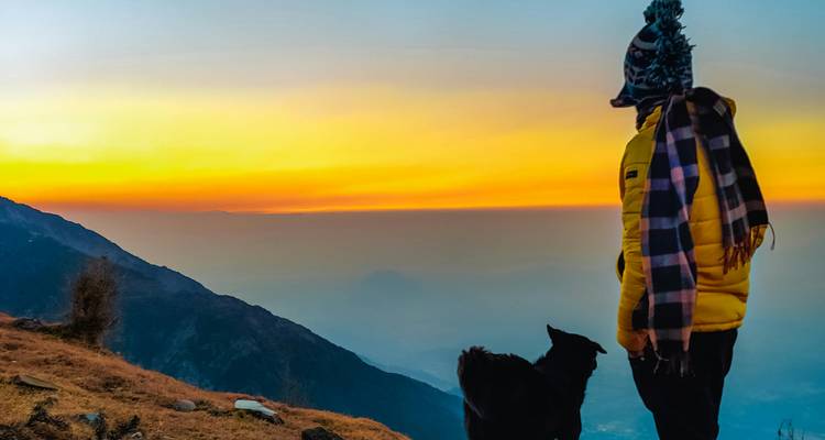 Personne avec un chien profitant d'une vue de coucher de soleil coloré depuis une colline.