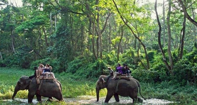Private Tour in Nepal -9 Days - Himalayan Adventure Treks & Tours 2