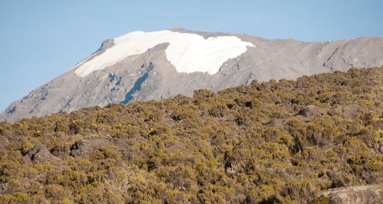 9 jours d'ascension du Kilimandjaro par la route de Lemosho - Wild Root Safaris & Adventures 7