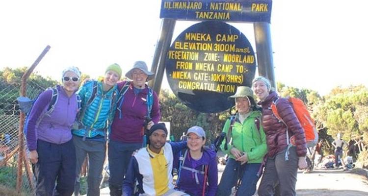 9 jours d'ascension du Kilimandjaro par la route de Lemosho - Wild Root Safaris & Adventures 1