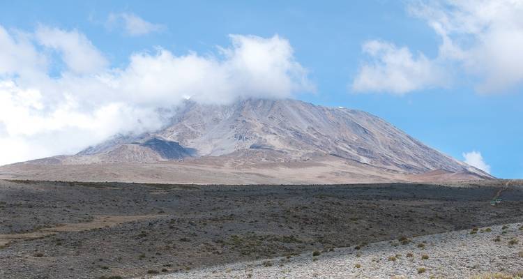 8 jours d'ascension du Kilimandjaro par la route Machame - Wild Root Safaris & Adventures 8