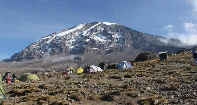 8 jours d'ascension du Kilimandjaro par la route Machame - Wild Root Safaris & Adventures 1