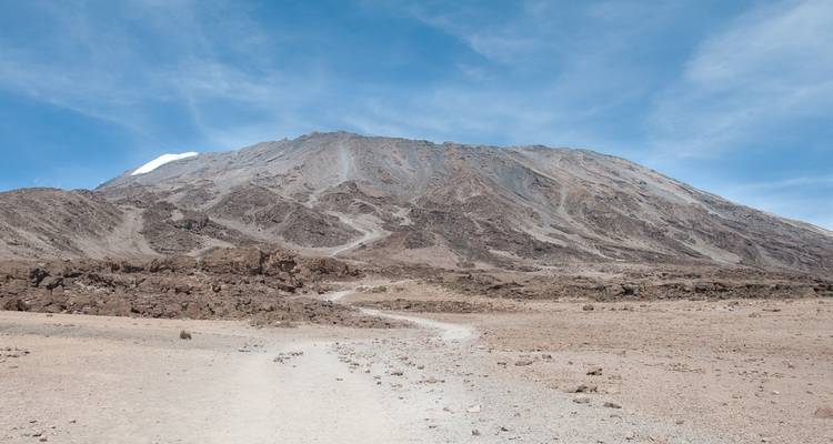 8 jours d'ascension du Kilimandjaro par la route Machame - Wild Root Safaris & Adventures 6