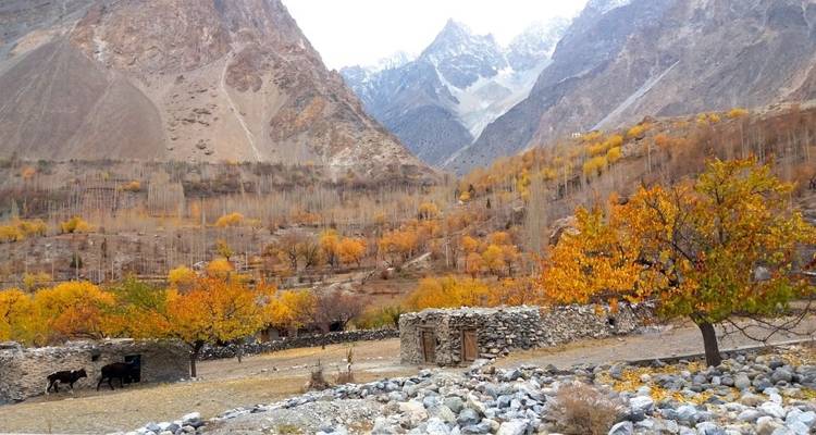 Circuito de Otoño a Hunza y el Valle de Phandar - Pakistán - Hunza Explorers 6