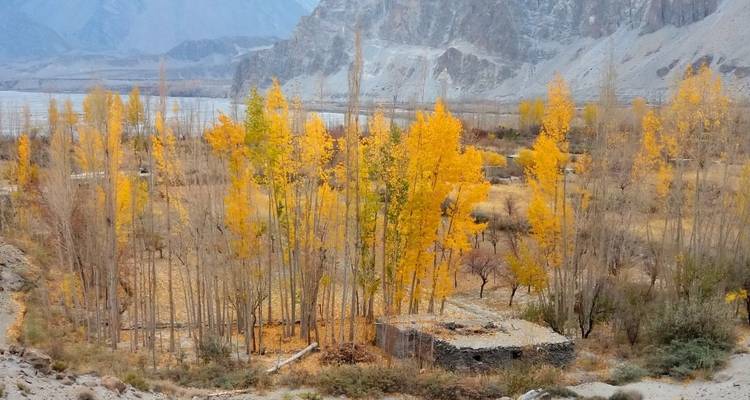 Circuito de Otoño a Hunza y el Valle de Phandar - Pakistán - Hunza Explorers 8