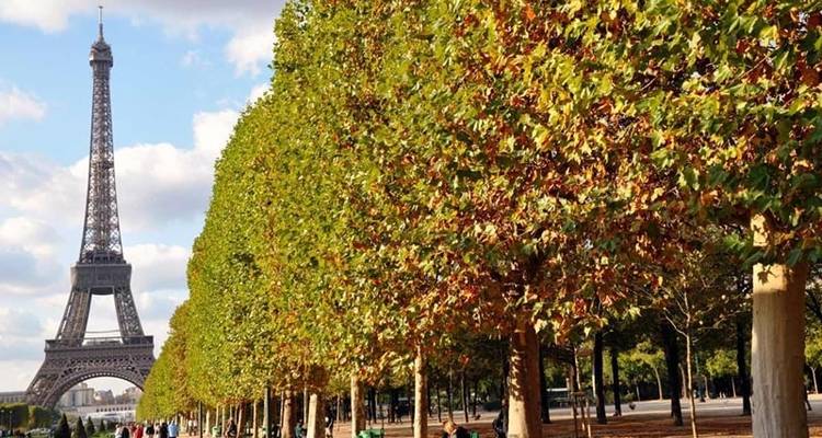 European Whirl (Winter, End Paris, 14 Days) (13 destinations) - Trafalgar 3