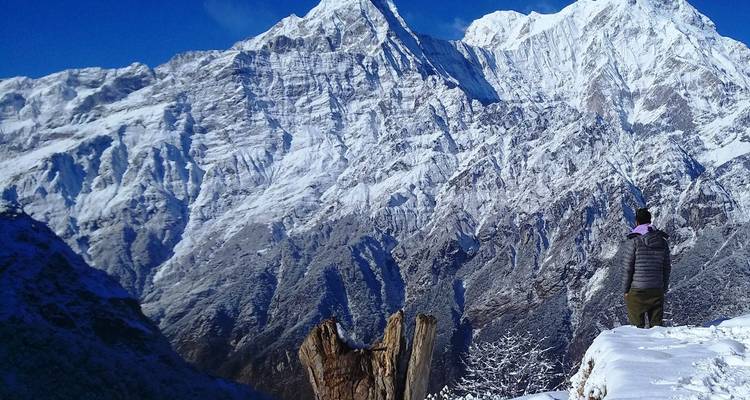Viaje al Mardi Himal 2024/2025 - Himalaya Heart Treks & Expedition[P] Ltd  3