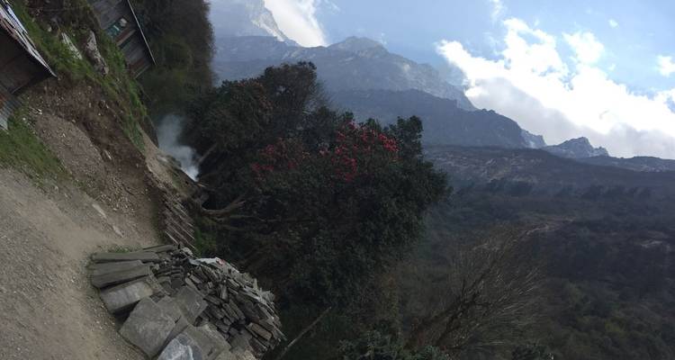 Trekking spécial dans l'Annapurna - Himalaya Heart Treks & Expedition[P] Ltd  3